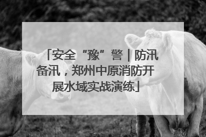 安全“豫”警｜防汛备汛，郑州中原消防开展水域实战演练