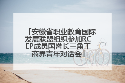 安徽省职业教育国际发展联盟组织参加RCEP成员国暨长三角工商界青年对话会