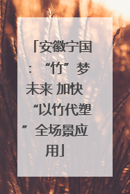安徽宁国：“竹”梦未来 加快“以竹代塑”全场景应用
