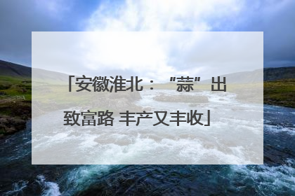 安徽淮北：“蒜”出致富路 丰产又丰收