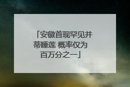 安徽首现罕见并蒂睡莲 概率仅为百万分之一
