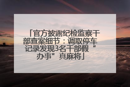 官方披露纪检监察干部查案细节：调取停车记录发现3名干部假“办事”真麻将