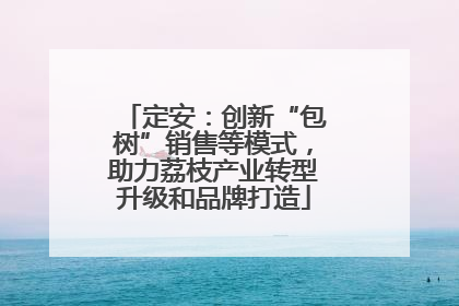 定安：创新“包树”销售等模式，助力荔枝产业转型升级和品牌打造