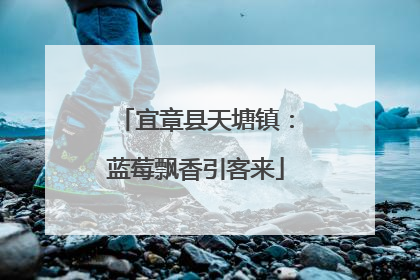宜章县天塘镇：蓝莓飘香引客来