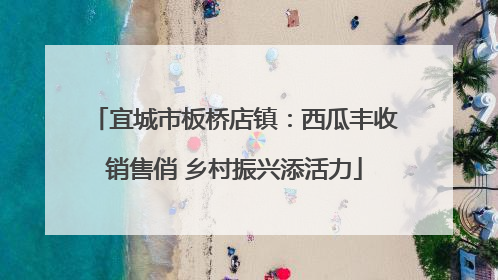 宜城市板桥店镇：西瓜丰收销售俏 乡村振兴添活力
