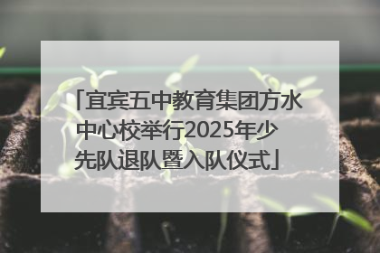 宜宾五中教育集团方水中心校举行2025年少先队退队暨入队仪式