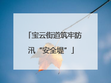 宝云街道筑牢防汛“安全堤”
