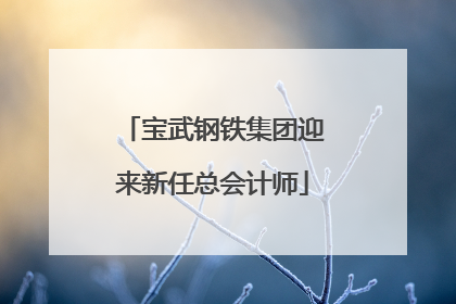 宝武钢铁集团迎来新任总会计师