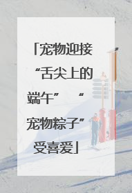 宠物迎接“舌尖上的端午” “宠物粽子”受喜爱