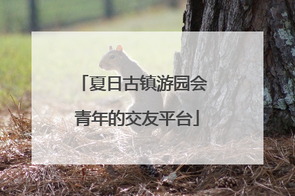 夏日古镇游园会 青年的交友平台