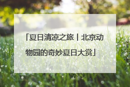 夏日清凉之旅丨北京动物园的奇妙夏日大赏