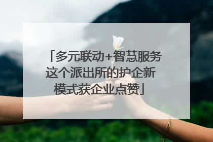 多元联动+智慧服务 这个派出所的护企新模式获企业点赞