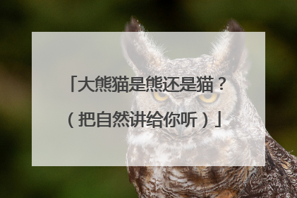 大熊猫是熊还是猫？（把自然讲给你听）