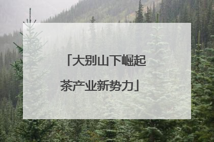 大别山下崛起茶产业新势力