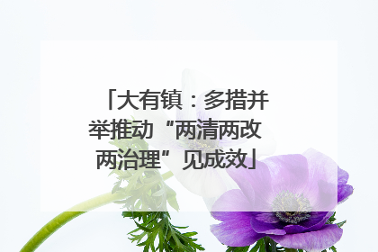 大有镇：多措并举推动“两清两改两治理”见成效