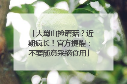 大蜀山捡蘑菇？近期疯长！官方提醒：不要随意采摘食用