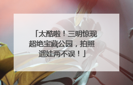太酷啦！三明惊现超绝宝藏公园，拍照遛娃两不误！
