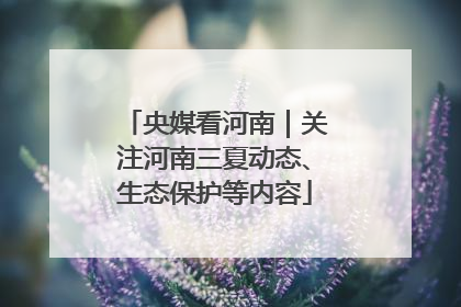 央媒看河南｜关注河南三夏动态、生态保护等内容