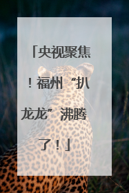 央视聚焦！福州“扒龙龙”沸腾了！