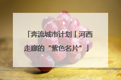 奔流城市计划丨河西走廊的“紫色名片”