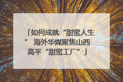 如何成就“甜蜜人生” 海外华媒聚焦山西高平“甜蜜工厂”