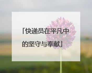 快递员在平凡中的坚守与奉献