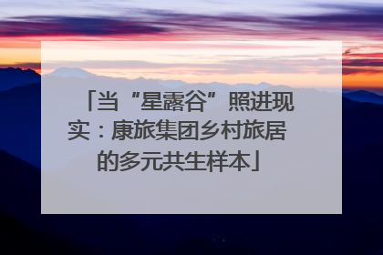 当“星露谷”照进现实：康旅集团乡村旅居的多元共生样本