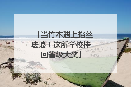 当竹木遇上掐丝珐琅！这所学校捧回省级大奖
