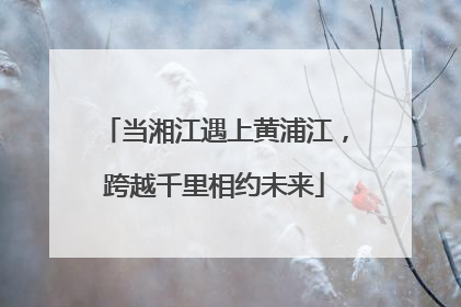 当湘江遇上黄浦江，跨越千里相约未来