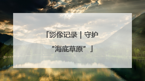 影像记录｜守护“海底草原”