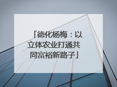 德化杨梅：以立体农业打通共同富裕新路子