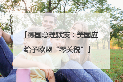 德国总理默茨：美国应给予欧盟“零关税”