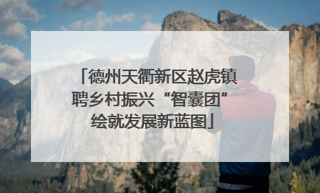 德州天衢新区赵虎镇聘乡村振兴“智囊团” 绘就发展新蓝图