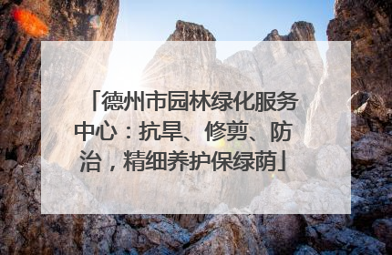 德州市园林绿化服务中心：抗旱、修剪、防治，精细养护保绿荫