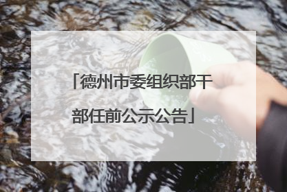 德州市委组织部干部任前公示公告