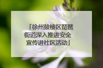 徐州鼓楼区琵琶街道深入推进安全宣传进社区活动