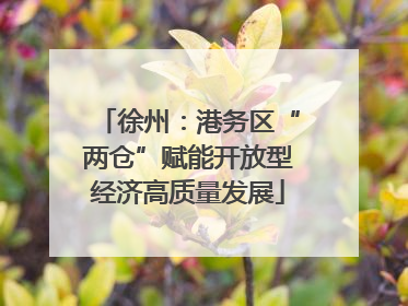 徐州：港务区“两仓”赋能开放型经济高质量发展