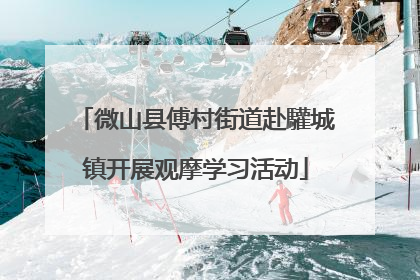 微山县傅村街道赴驩城镇开展观摩学习活动