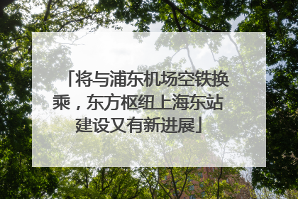 将与浦东机场空铁换乘，东方枢纽上海东站建设又有新进展