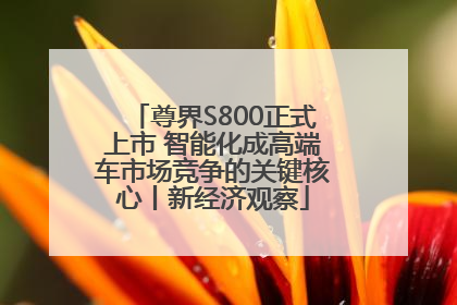 尊界S800正式上市 智能化成高端车市场竞争的关键核心丨新经济观察