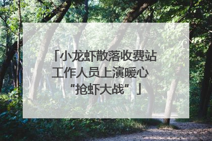 小龙虾散落收费站 工作人员上演暖心“抢虾大战”