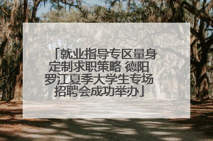 就业指导专区量身定制求职策略 德阳罗江夏季大学生专场招聘会成功举办