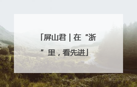 屏山君｜在“浙”里，看先进