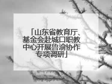 山东省教育厅、基金会赴城口职教中心开展鲁渝协作专项调研