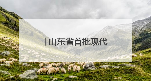 山东省首批现代宜居农房建设典型案例丨莒县招贤镇武家曲坊村