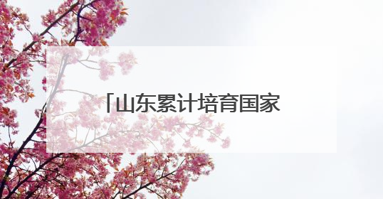 山东累计培育国家级“数字领航”企业18家 其中民营企业牵头10家