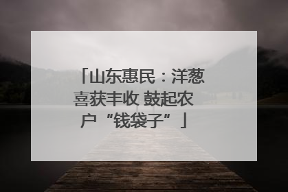 山东惠民：洋葱喜获丰收 鼓起农户“钱袋子”