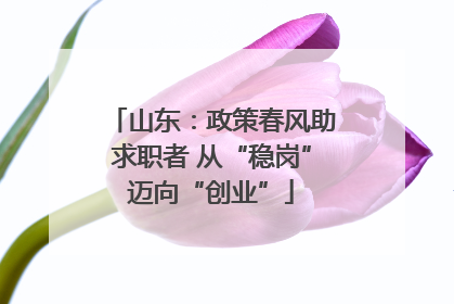 山东：政策春风助求职者 从“稳岗”迈向“创业”