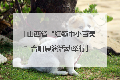 山西省“红领巾小百灵”合唱展演活动举行