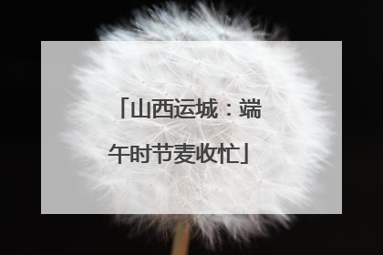 山西运城：端午时节麦收忙